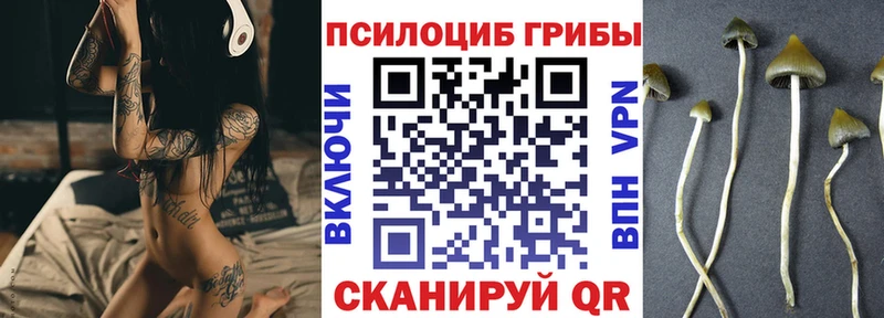 Галлюциногенные грибы Cubensis  где купить наркотик  blacksprut зеркало  Суворов 